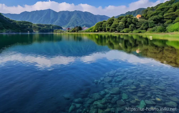 온라인 쇼핑 활용법 이미지 1